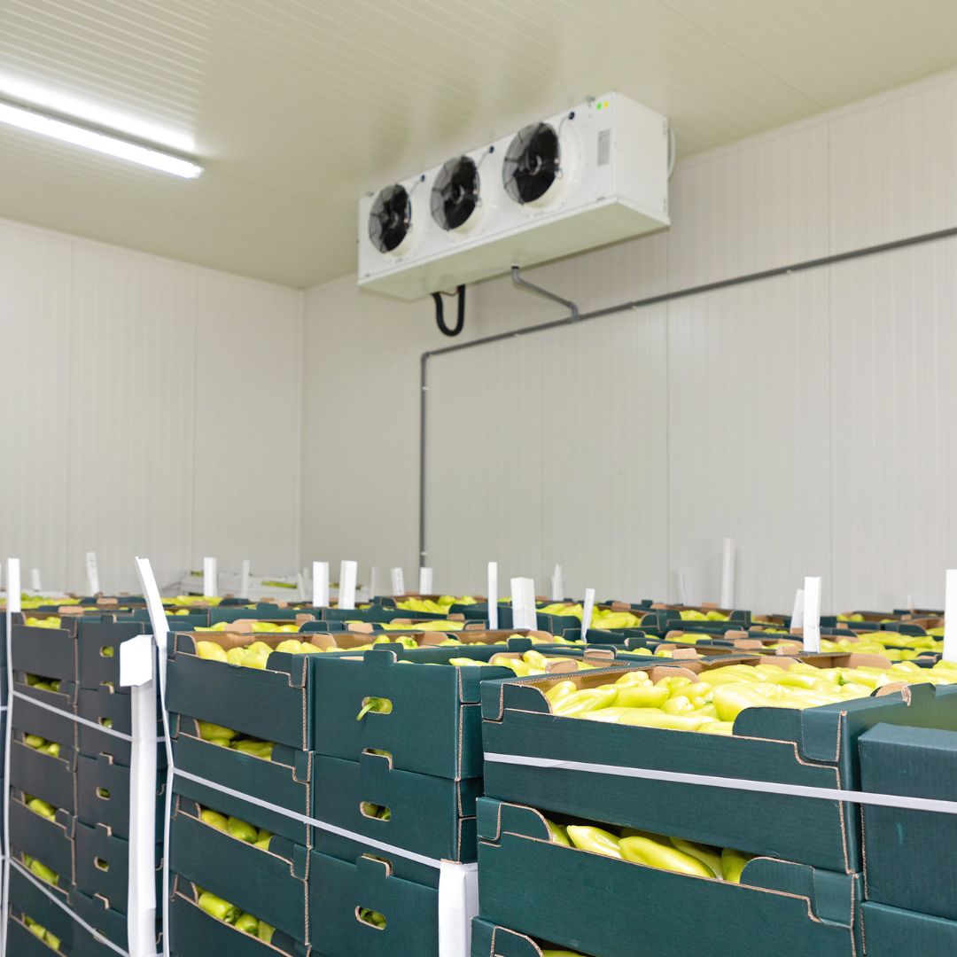 large cooler with vegetables